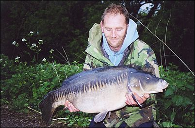 Northern Phil - The Floppy Tailed Linear - 31lb - North Met